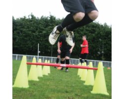 foto van Agility Set 5 stokken en 10 pionnen