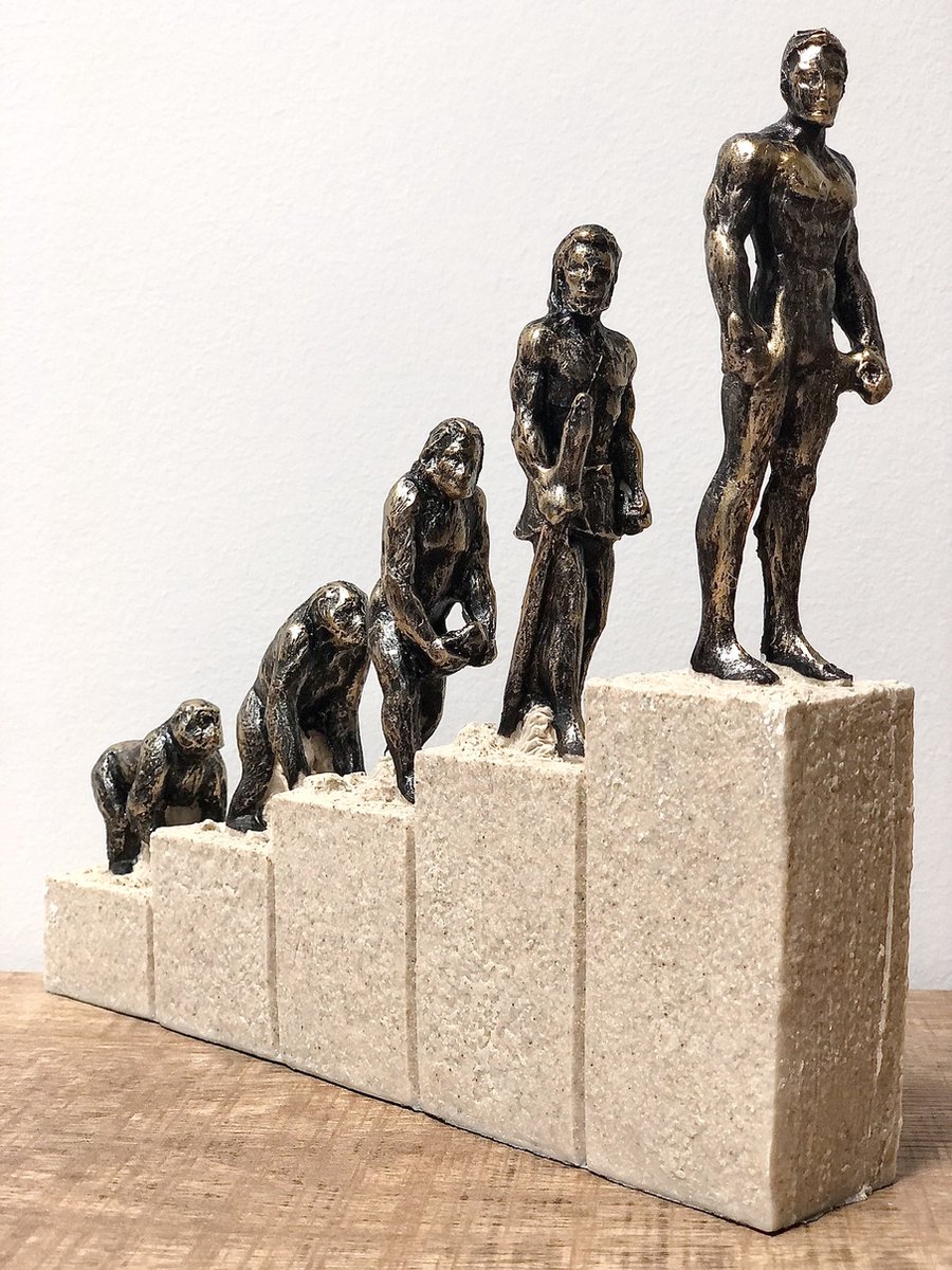 Evolutie van de mens 19,5 cm hoog - polyresin - kunststof - interieur - voor binnen - interieurdecoratie - decoratiefiguur - modern - geschenk - cadeau - gift - verjaardag - Charles Darwin theorie- Kerst - Nieuwjaar