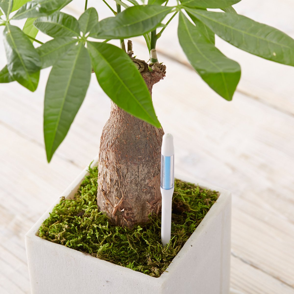 Water Wipes Installatie Zonder Lassen 15 Mm 1/2 Inch Watermeter Voor In De Tuin Met Montageaccessoires En Beschermkap Huishoudelijke Koudwatermeter 1/2 Inch Watermeter Huishouden Koudwatermeter Huis Tuin