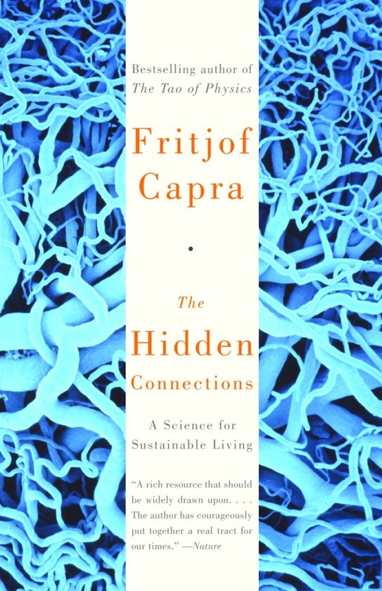 The Hidden Connections - cover