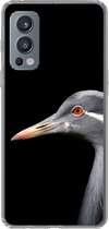 Geschikt voor OnePlus Nord 2 5G hoesje - Vogel - Dieren - Portret - Siliconen Telefoonhoesje