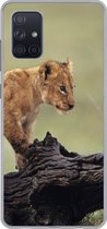 Coque Samsung Galaxy A51 - Lion - Tronc d'arbre - Cub - Siliconen