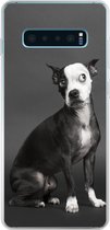 Geschikt voor Samsung Galaxy S10 Plus hoesje - Hond - Vlek - Portret - Siliconen Telefoonhoesje