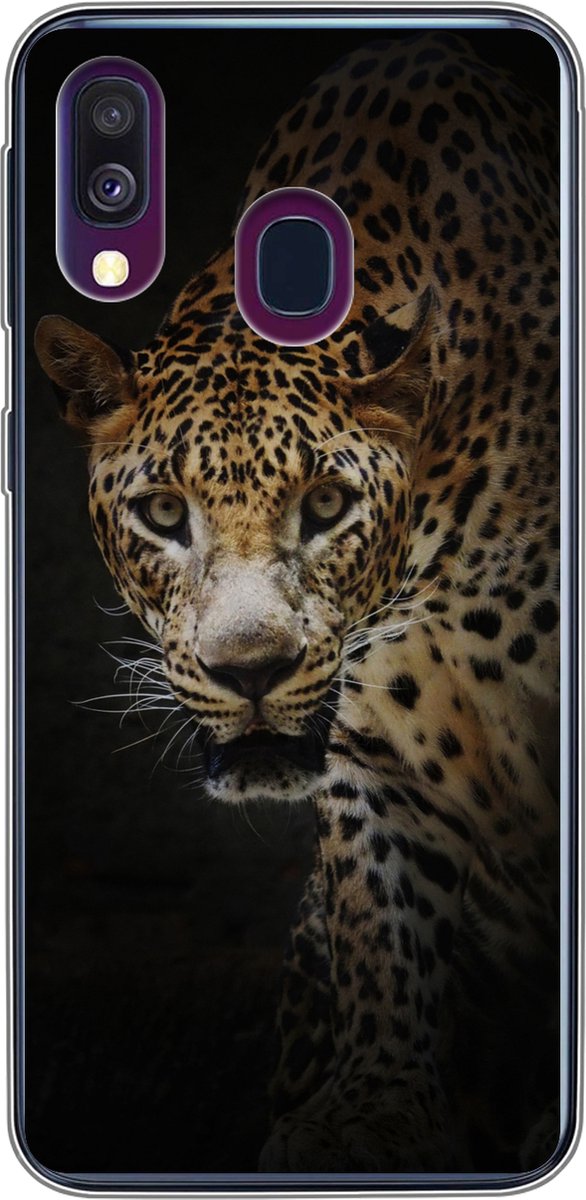Telefoonhoesje Geschikt voor Samsung Galaxy A40 hoesje - Luipaard - Wilde dieren - Licht - Siliconen Telefoonhoesje Telefoonhoesje