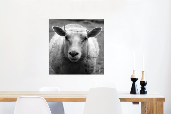 Poster Mouton noir et blanc 50x50 cm - Tirage photo sur Poster (décoration murale salon / chambre) / Poster Animaux