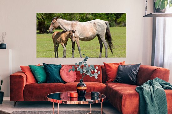 Affiche Paarden - Herbe - Ombre - 150x75 cm