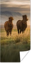 Poster Paarden - Lucht - Gras - 60x120 cm