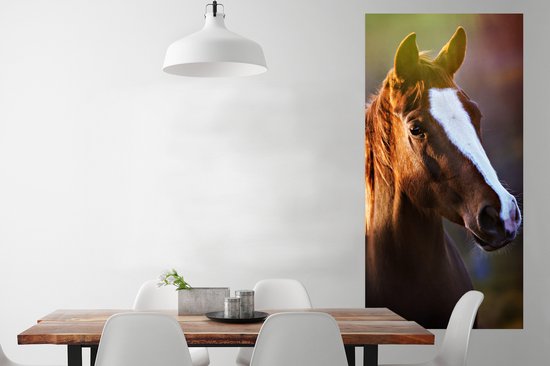 Affiche Cheval - Léger - Fourrure - 80x160 cm