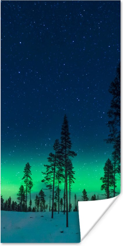 Poster Noorderlicht - Sneeuw - Bomen - Natuur - Groen - 60x120 cm