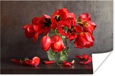 Poster Verwelkte en vervaagde rode tulpen - 120x80 cm