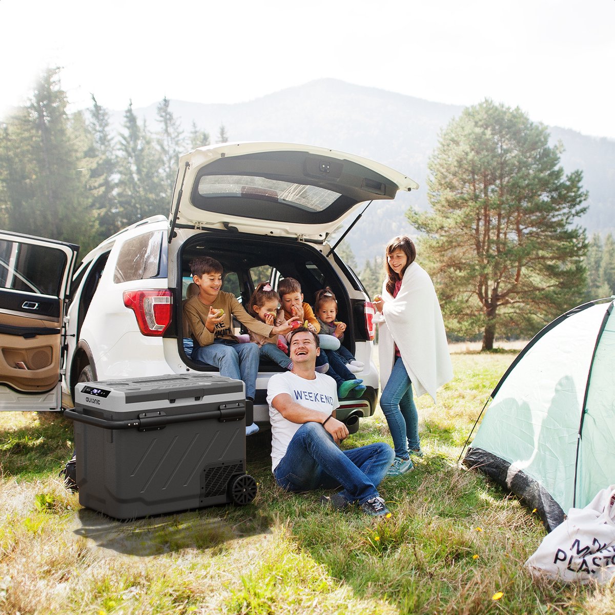 Auronic Compressor Koelbox Elektrisch 12V en 230 volt - Camping Koelkast - Auto - Vriezen en Koelen - 58L - Frigobox - Grijs — afbeelding 6