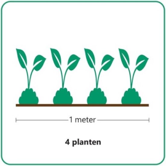 Illustratie van 4 planten op 1 meter afstand.