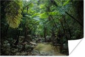 Poster Riviertje in tropische jungle - 180x120 cm XXL