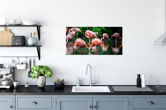 PosterMonkey - Poster - Cadre photo - Vogel - Water - Flamingo - Tropical - Animaux - 80x40 cm - Affiche sous cadre - Affiche flamant rose - Photo avec cadre - Affiche avec cadre