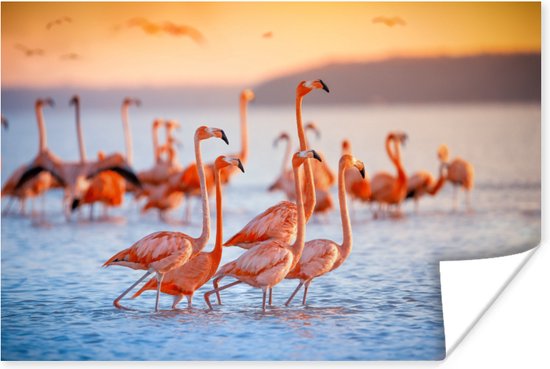 Poster - Fotolijst - Flamingo - Zonsondergang - Vogel - Tropisch - Kader - 30x20 cm - Poster frame - Poster flamingo - Poster dieren - Foto in lijst - Kamer decoratie