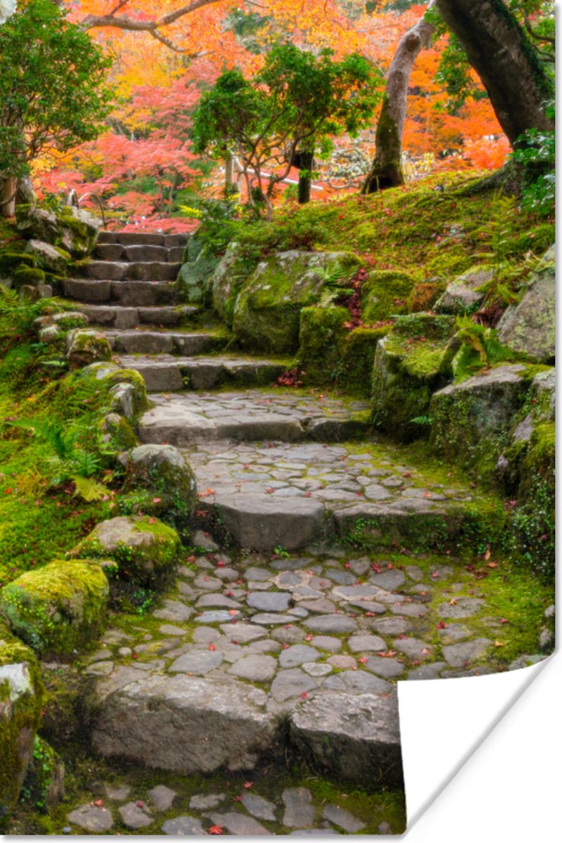 Poster Natuur - Stenen - Pad - Mos - Japans - 40x60 cm