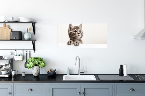 Poster Poes - Grijs - Dieren - 80x40 cm