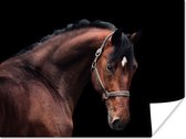 Paard met een bruine vacht op een zwarte achtergrond poster 80x60 cm - Foto print op Poster (wanddecoratie woonkamer / slaapkamer) / Boerderijdieren Poster