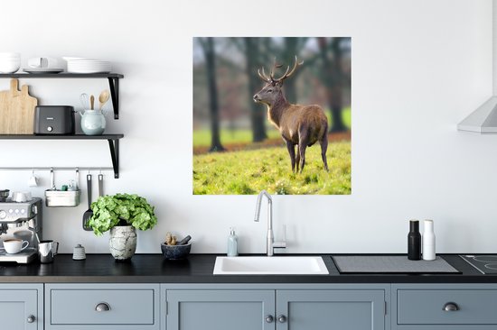 Edelhert in het veld Poster 75x75 cm - Foto print op Poster (wanddecoratie woonkamer / slaapkamer) / Wilde dieren Poster