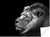 Lion sur fond noir en papier poster noir et blanc 160x120 cm - Tirage photo sur Poster (décoration murale salon / chambre) / Poster en Groot XXL / Grand format!