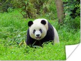 Grote panda in het gras Poster 120x80 cm - Foto print op Poster (wanddecoratie)