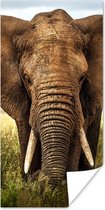 Poster Afrikaanse olifant vooraanzicht - 80x160 cm