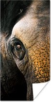 Poster Olifant - Close up - Dieren - Natuur - 60x120 cm
