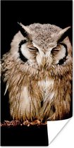 Poster Uil - Vogel - Zwart - 75x150 cm