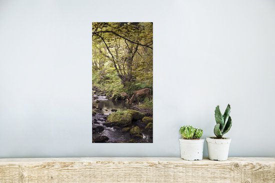 Poster Cerf - Arbre - Forêt - 20x40 cm