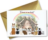 Regenboog brug hond kaart, Hondenhemel Wenskaart, Verlies Huisdier, Condoleance kaart overleden hond of kat, heel veel sterkte, Rouwkaart