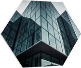 PVC Schuimplaat Hexagon - Gebouw - Donker - 70x60.9 cm Foto op Hexagon (Met Ophangsysteem)