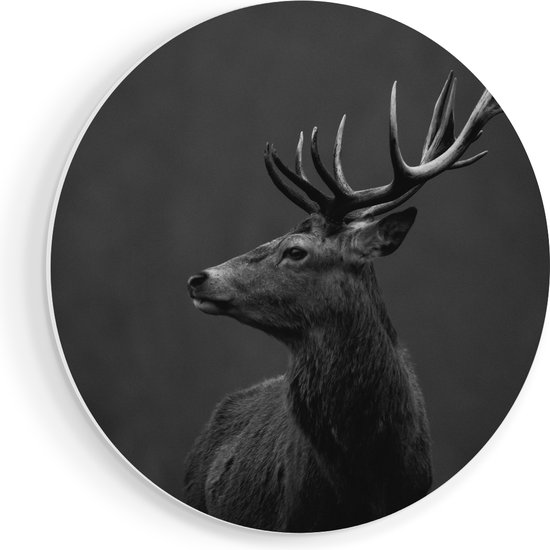 Zwart-wit portret van een edelhert met grote geweien, profiel naar links.