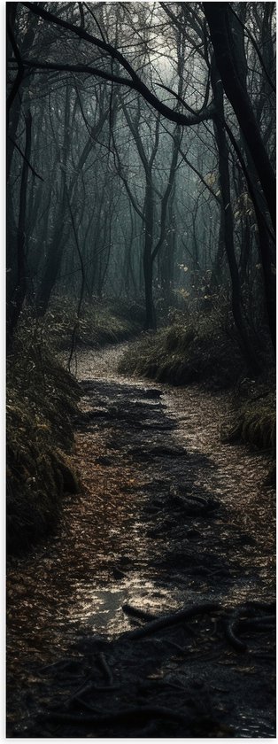 Poster (Mat) - Bos - Bomen - Pad - Donker - Bladeren - 20x60 cm Foto op Posterpapier met een Matte look