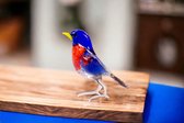 Glazen Vogel Blauw Rood - Vogel - Vogels - Vogeltjes - Vogeltjes Beeldjes - Vogeltjes Decoratie - Beeldjes Dieren - Beeldjes Decoratie - Glazen vogeltjes decoratie - Vogel beeldje - vogel van glas