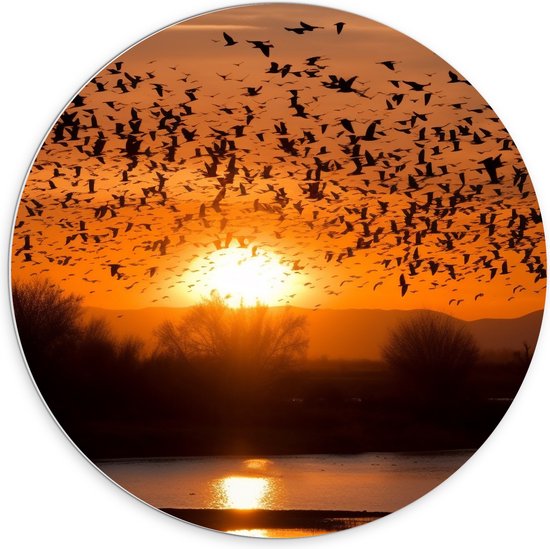 PVC Schuimplaat Muurcirkel - Dieren - Vogels - Planten - Zonsondergang - Water - 70x70 cm Foto op Muurcirkel (met ophangsysteem)