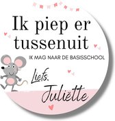 Naam Op Stickers Basisschool - Afscheid Peuterspeelzaal Kinderdagverblijf - Muis - 20 Etiketten - Gepersonaliseerd Drukken