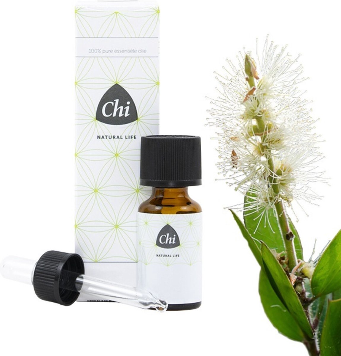 Goedkoopste Chi Kajeput Wild - 10 ml - Etherische Olie