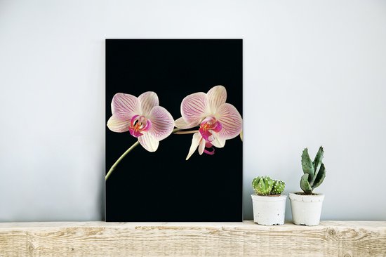 Décoration murale Métal - Peinture Aluminium Industriel - Orchidée - Fleurs - Zwart - Rose - Boutons - 30x40 cm - Dibond - Photo sur aluminium - Décoration murale industrielle - Pour le salon/chambre