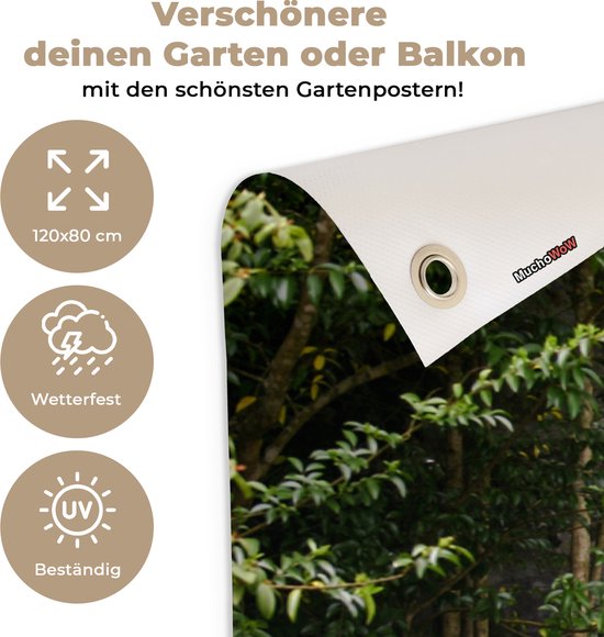 Affiche de jardin - Parc - Nature - Vert - Transparent - 120x80 cm - Jardin - Décoration de jardin- Toile jardin