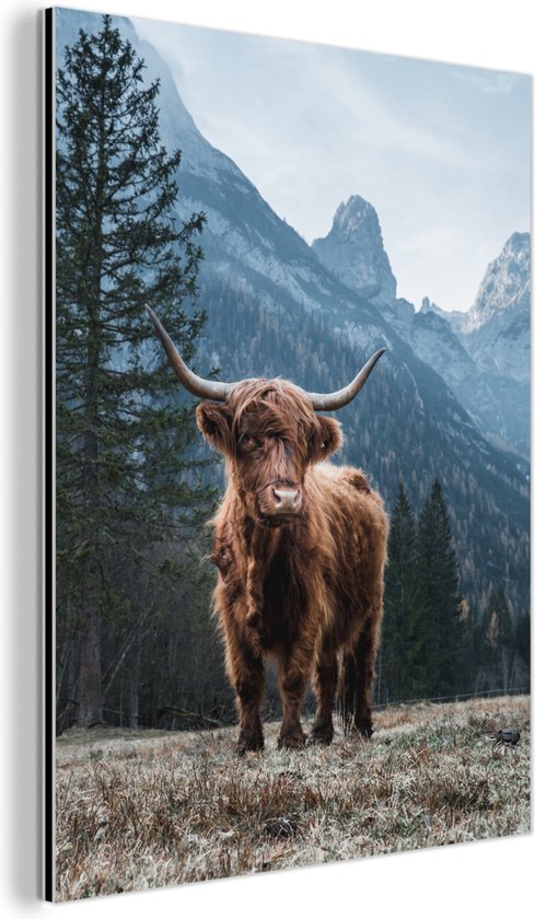 Décoration murale Métal - Peinture Aluminium Industriel - Highlander Ecossais - Berg - Paysage - Arbres - Vache - Nature - 120x160 cm - Dibond - Photo sur aluminium - Décoration murale industrielle - Pour le salon/chambre