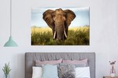 Wanddecoratie Metaal - Aluminium Schilderij Industrieel - Afrikaanse olifant vooraanzicht - 150x100 cm - Dibond - Foto op aluminium - Industriële muurdecoratie - Voor de woonkamer/slaapkamer
