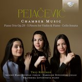 Trio Roverde & Lusine Harutyunyan - Pejacavic: Chamber Music (CD)