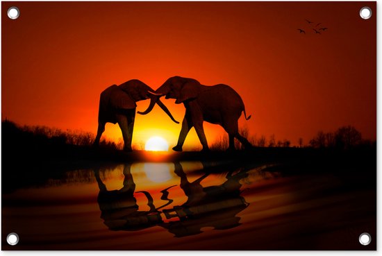 Affiche de jardin Couple d'éléphants au coucher du soleil 60x40 cm - petit - Toile de jardin / Toile d'extérieur / Peintures pour l'extérieur (décoration de jardin)