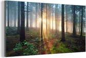 Décoration murale Métal - Aluminium - Forêt - Arbre - Plante - 160x80 cm