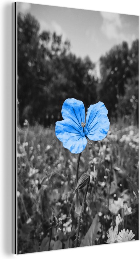 Décoration murale Métal - Aluminium - Fleurs - Zwart - Wit - Blauw - 100x150 cm