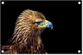 Tuindecoratie Close-up adelaar tegen zwarte achtergrond - 60x40 cm - Tuinposter - Tuindoek - Buitenposter