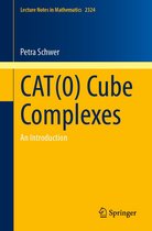 Lecture Notes in Mathematics 2324 - CAT(0) Cube Complexes