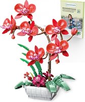 Questmate Bloemen Bouwset - Orchidee Rood - Bloemenboeket & Kunstbloemen Set voor volwassenen