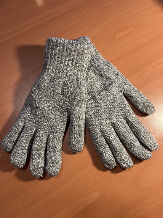 Handschoenen - Dik - Grijs - Unisex - One size