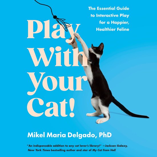 Play With Your Cat! - cover